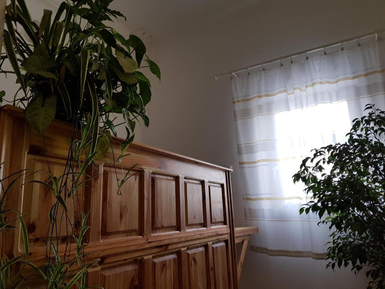 Matyas Panzio Bed & Breakfast แซแก็ด ภายนอก รูปภาพ